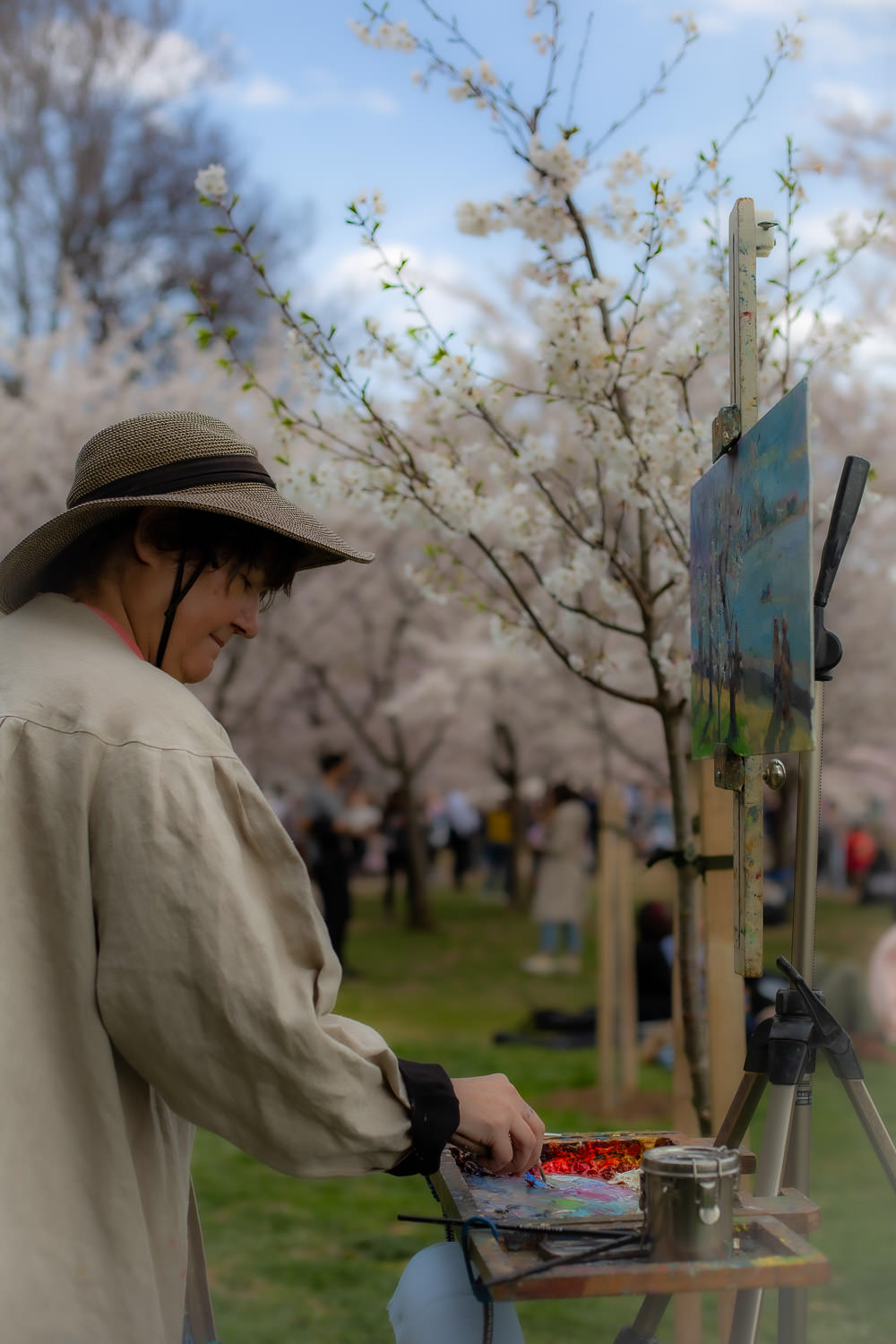 Artist at work amid cherry blossom trees