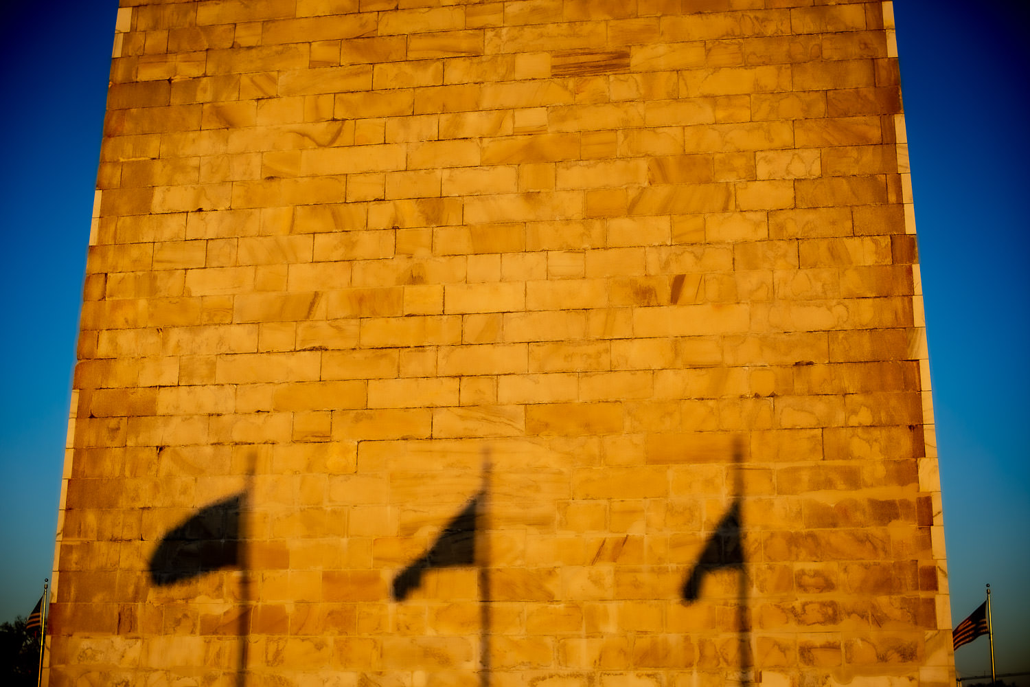 Silhouettes cast by evening light