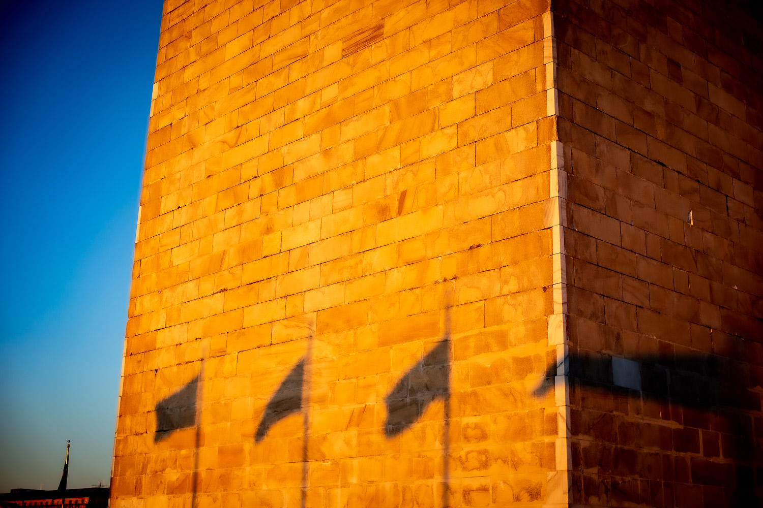 Shadow play at golden hour