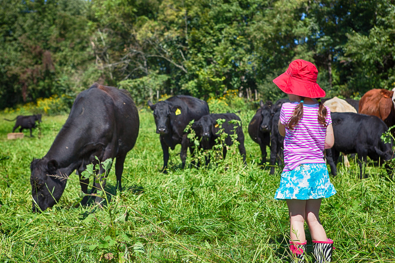 Cowgirl portrait at a rodeo event
