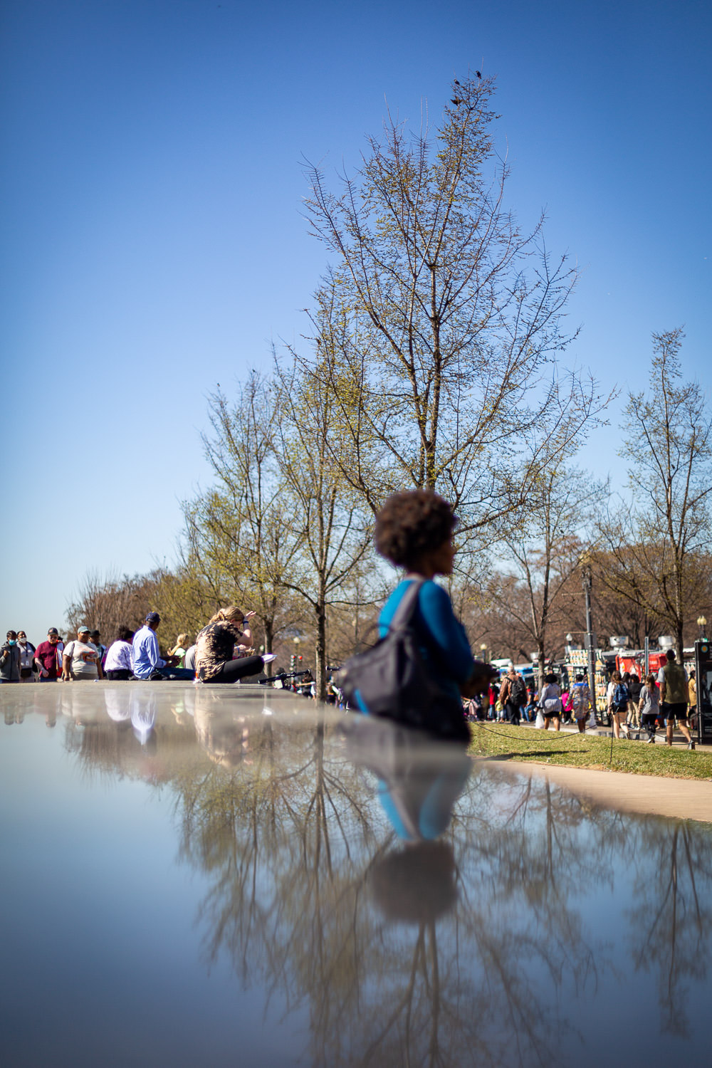Artistic reflection in Washington DC