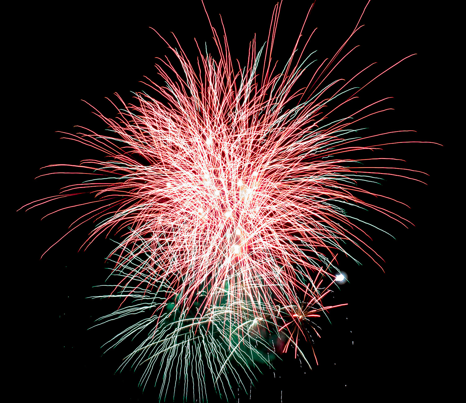Fireworks illuminating the night sky