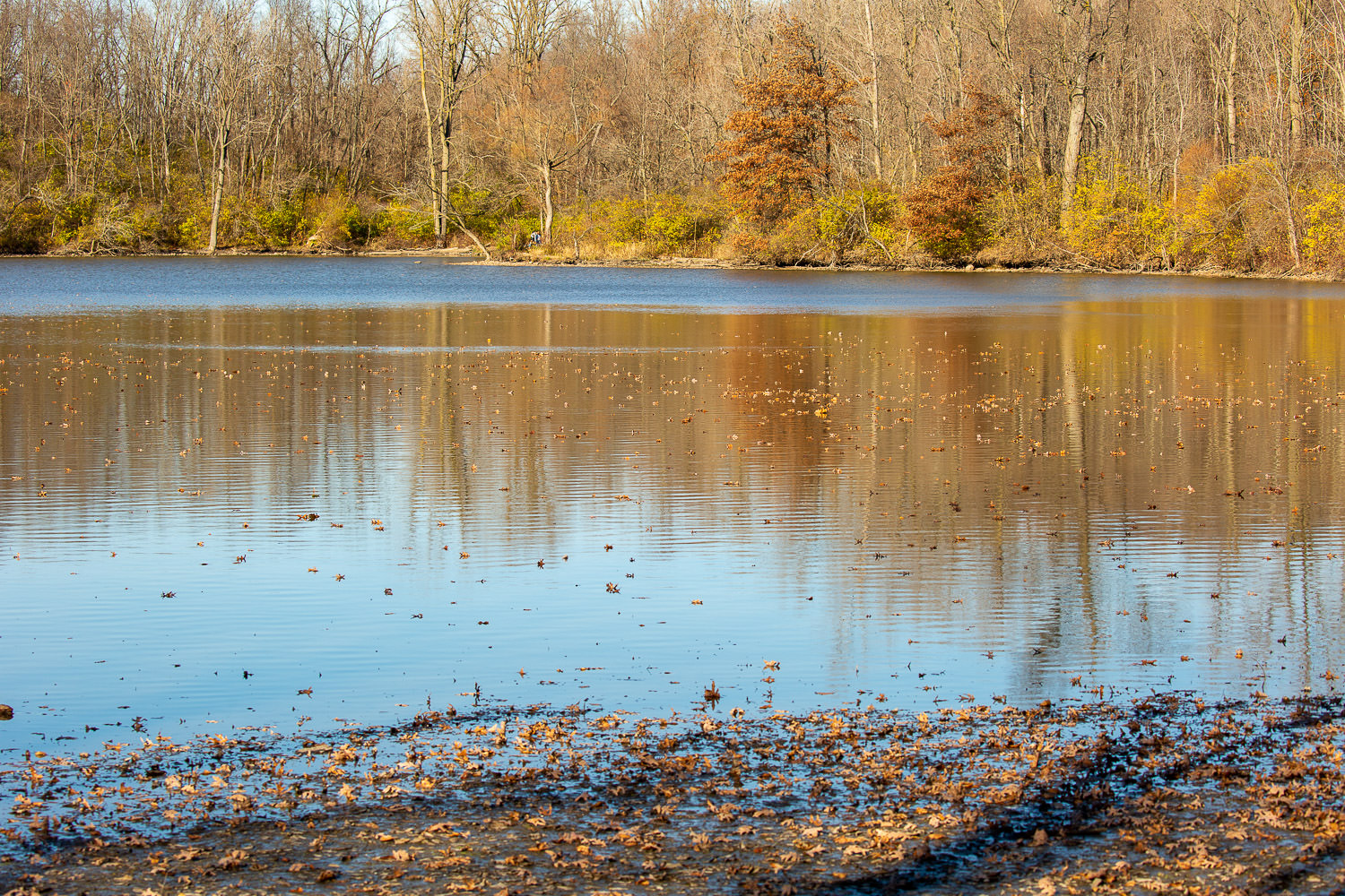 Autumn reflections on a serene lake