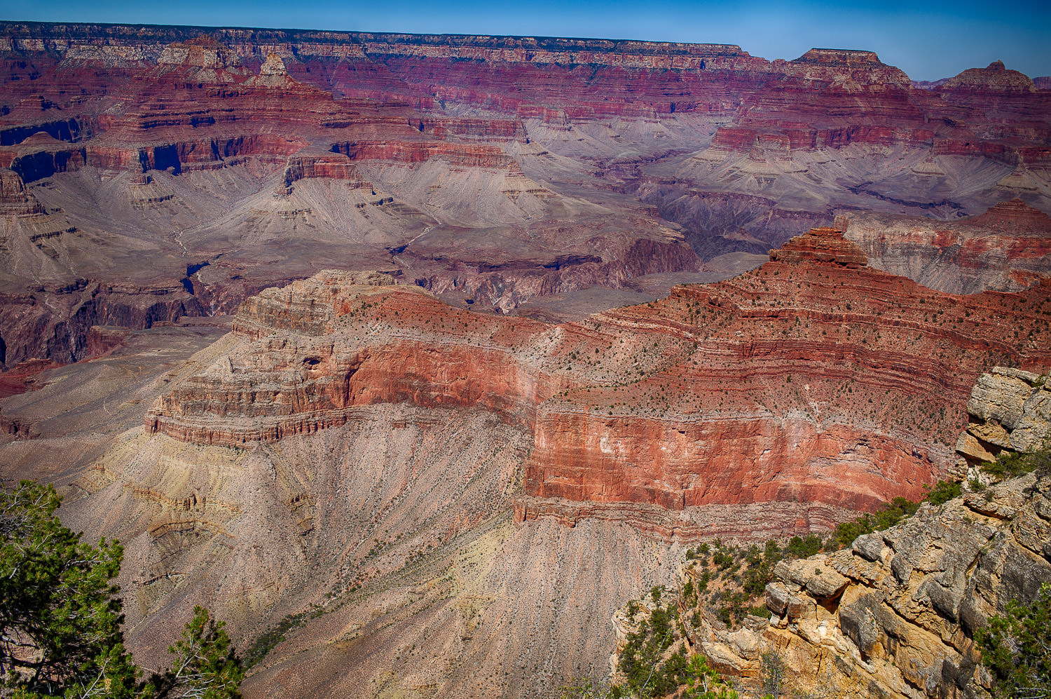 Grand Canyon vista at golden hour