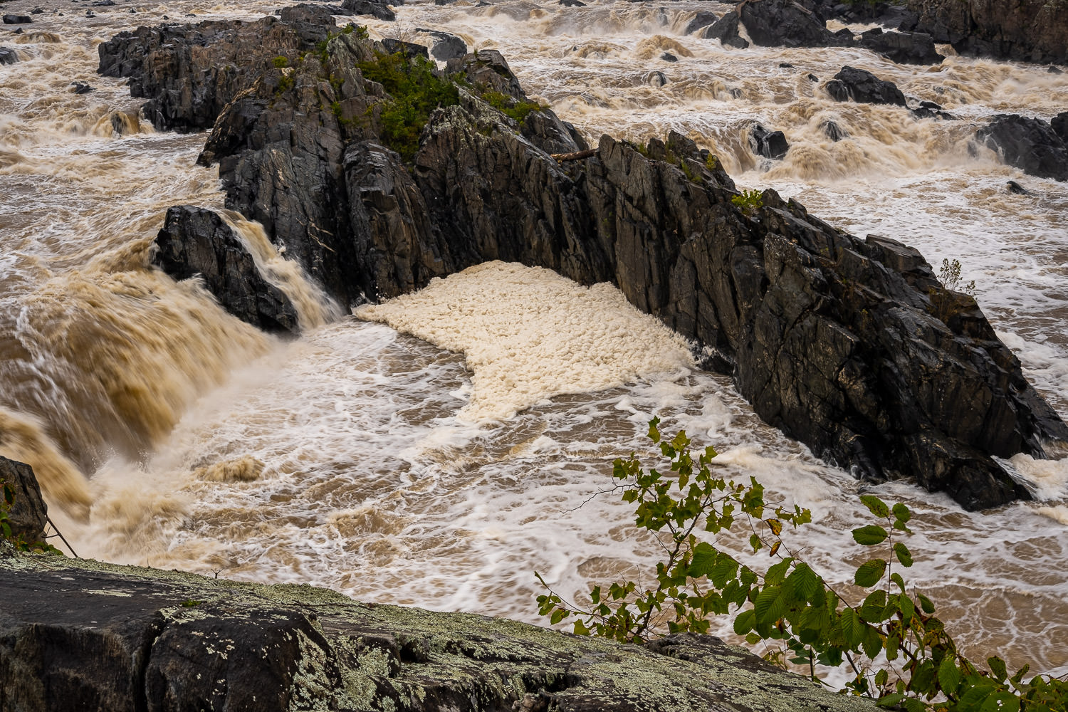 White water rapids rushing over rocks