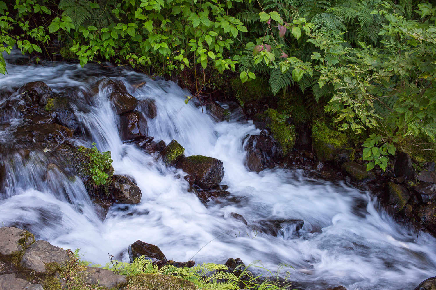 Waterfall cascading down mossy rocks