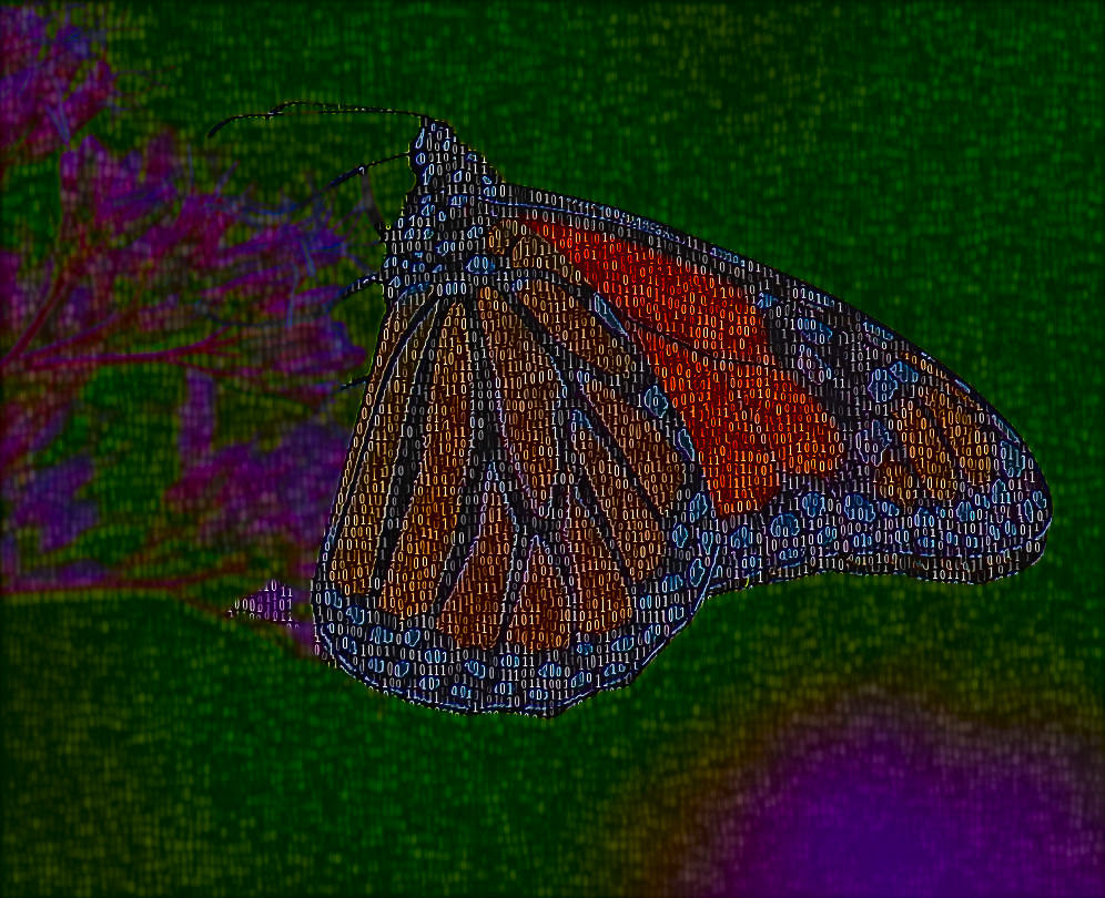 Binary style Monarch butterfly NFT artwork