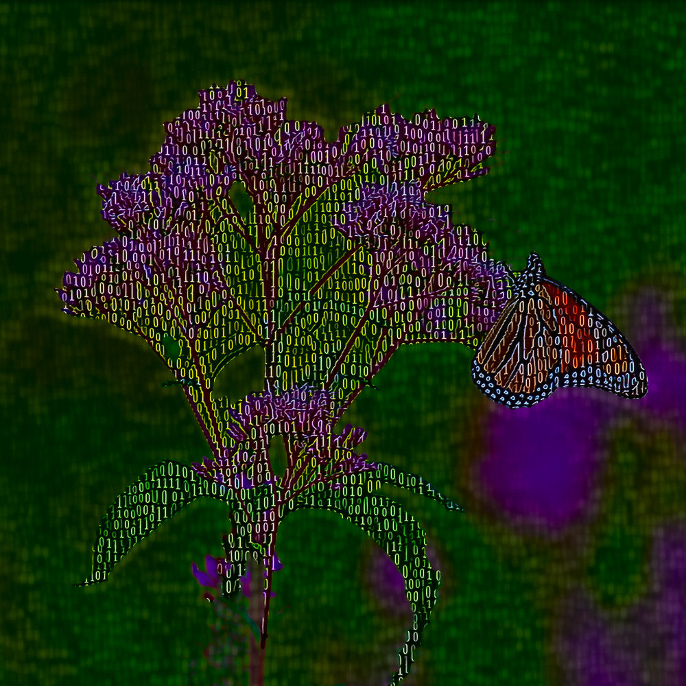 Binary Monarch butterfly artwork, piece 3