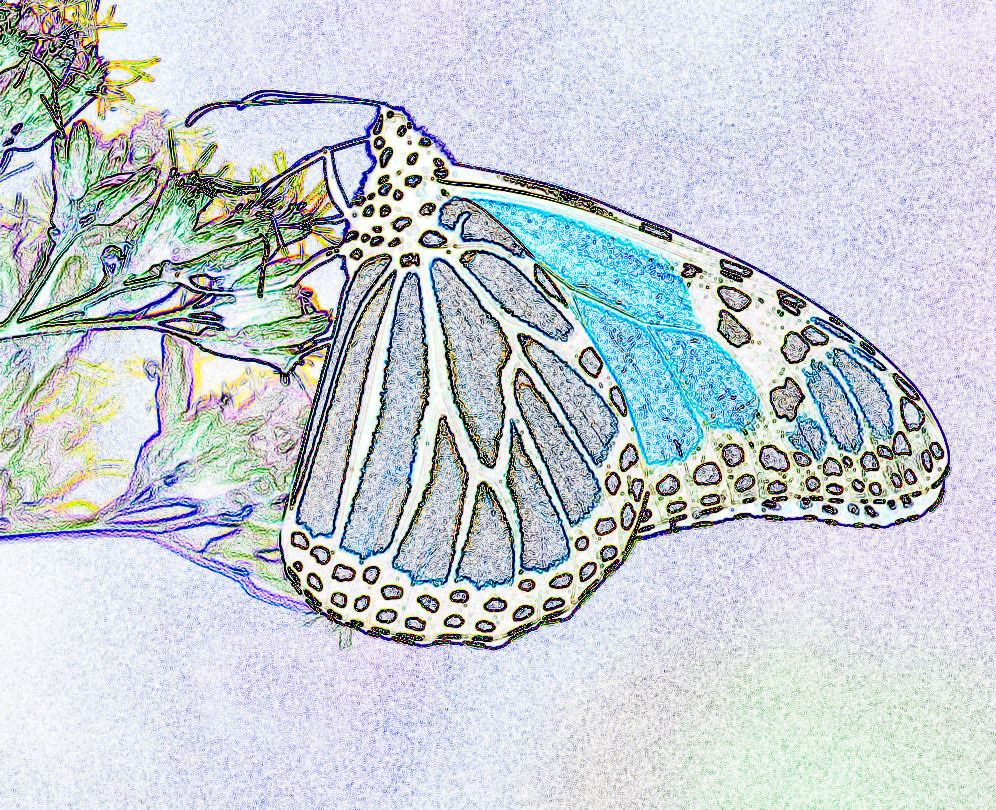 Edge style Monarch butterfly NFT artwork