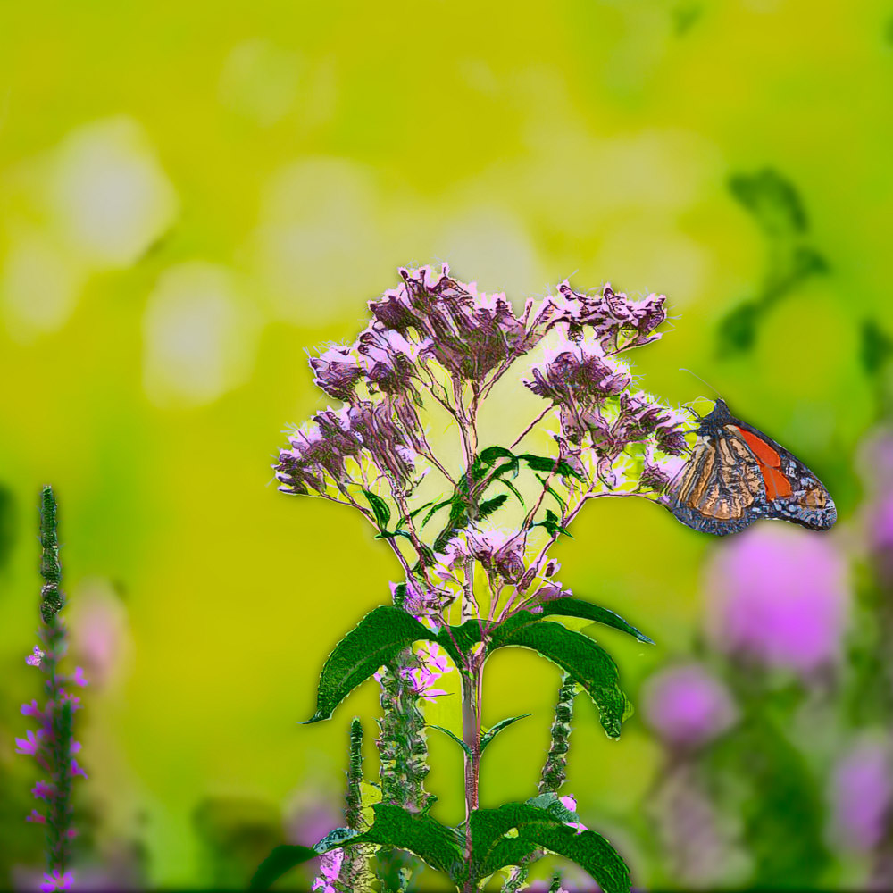 Wood block style Monarch butterfly NFT