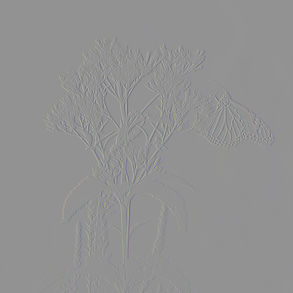 Tin style Monarch butterfly NFT artwork