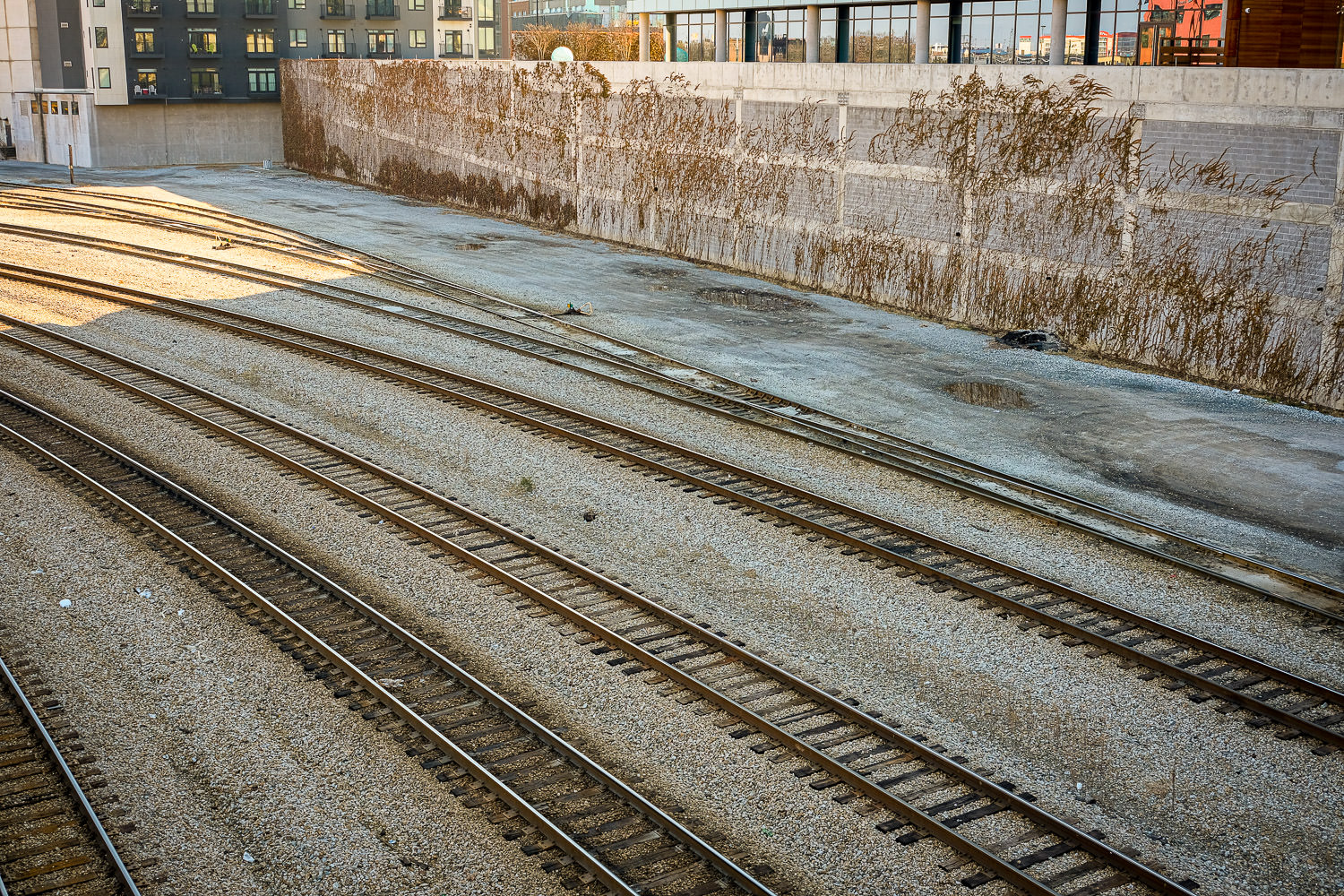 Railroad tracks stretching into distance